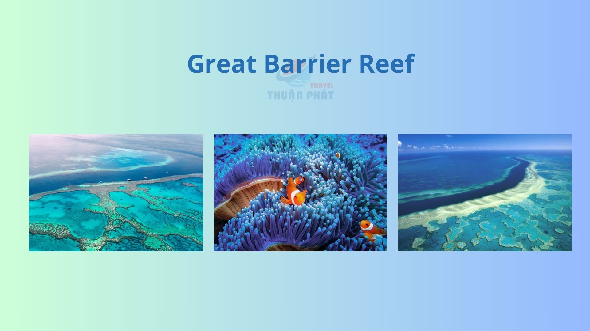 /upload/image/Great%20Barrier%20Reef.jpg