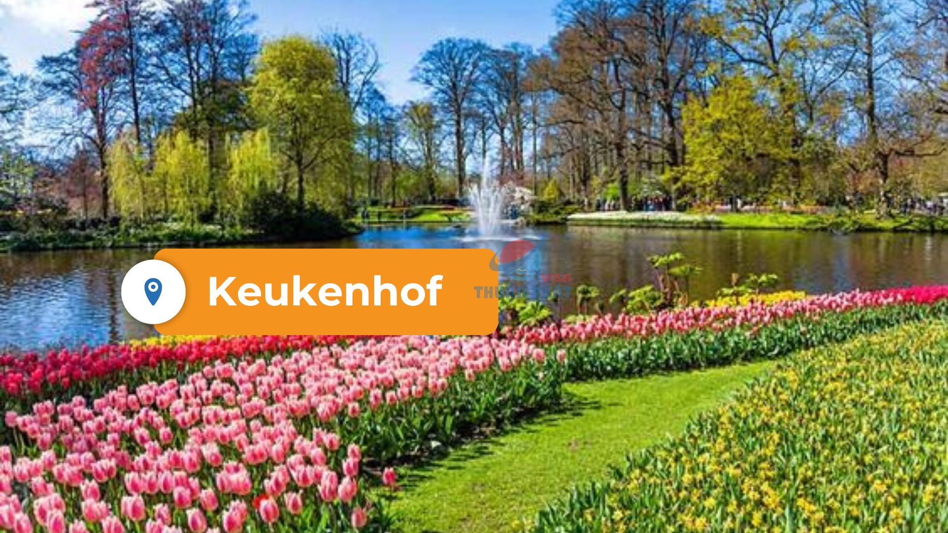 /upload/image/Keukenhof.jpg