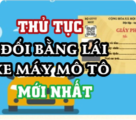 Đổi bằng lái xe Việt Nam