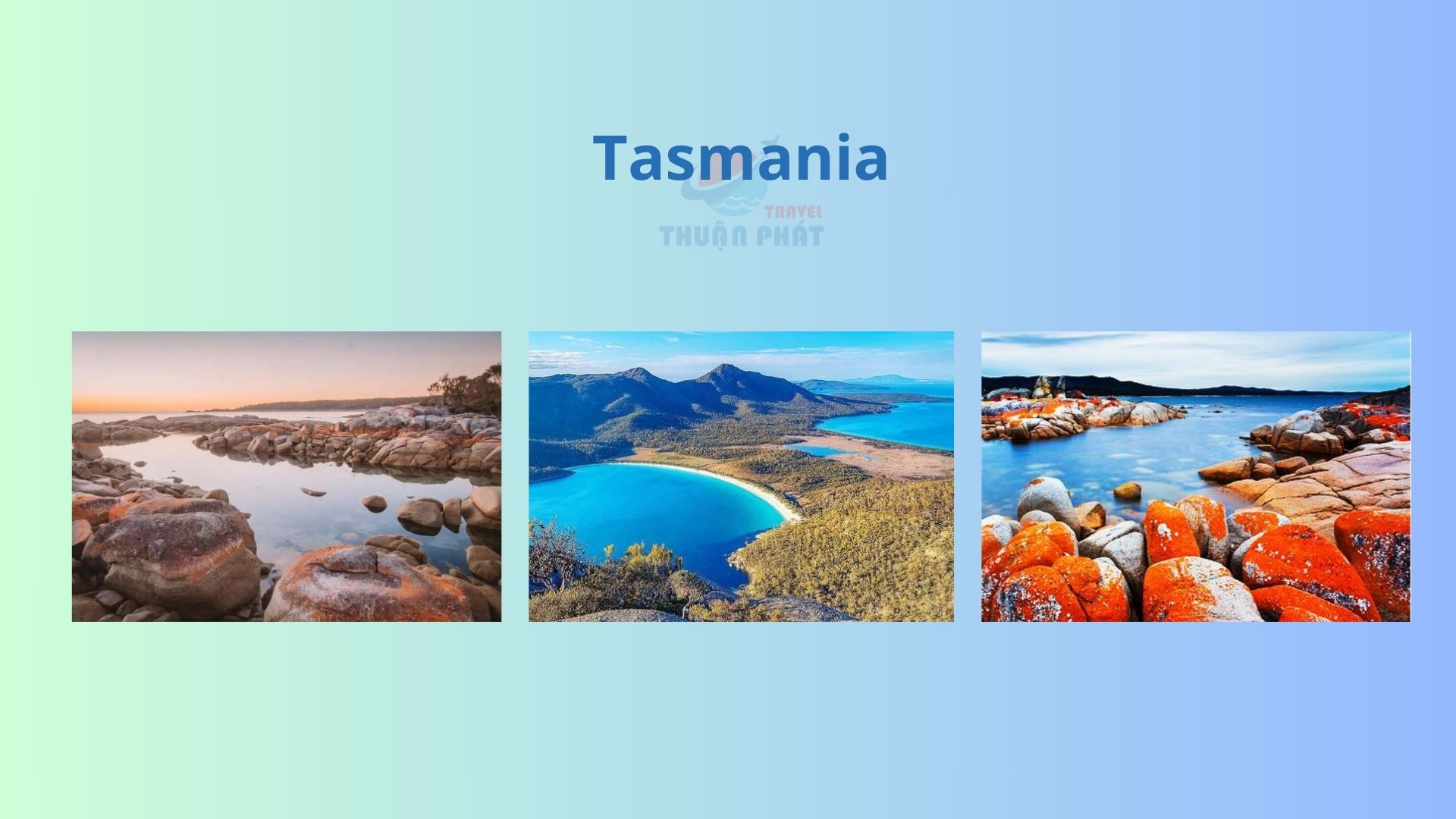 /upload/image/Tasmania.jpg