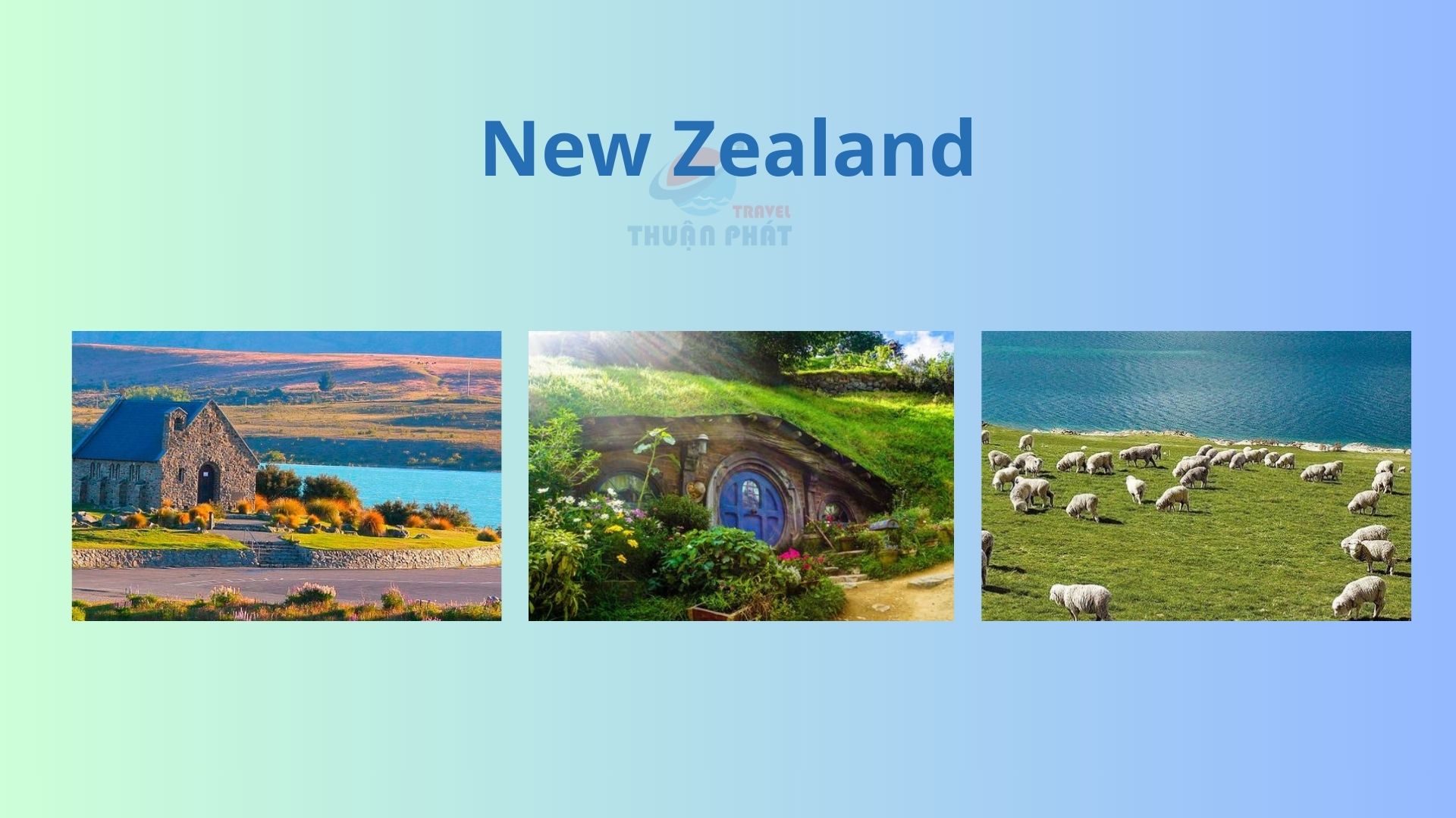 /upload/image/new-zealand.jpg